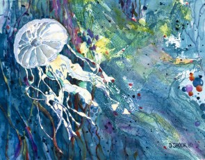 'Jelly'