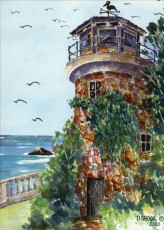 'Lighthouse Chapman Estate'