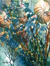 'The Great Nautilus'