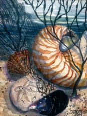 'By the Seashore'