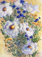 'Matilijas & Cornflowers'