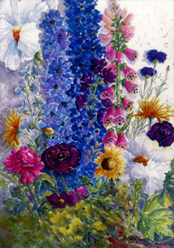 Vibrant-Spring